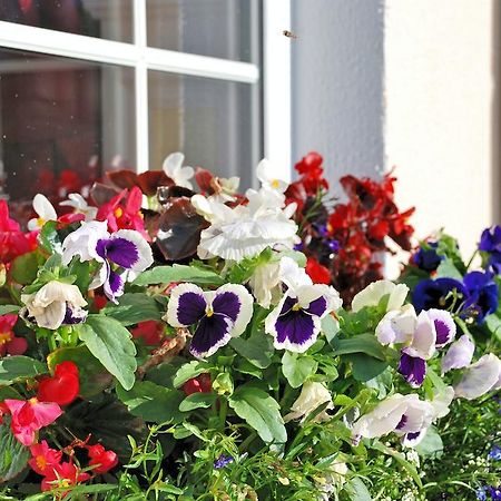 Lemongrove House Bed & Breakfast เอนนิสคอร์ธี ภายนอก รูปภาพ